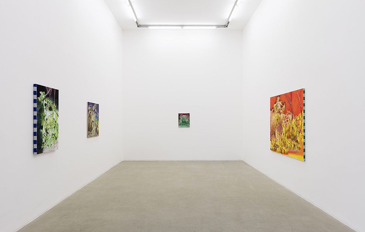 <i>pierpaolo campanini</i>, 2016
</br>
installation view, kaufmann repetto, milan>