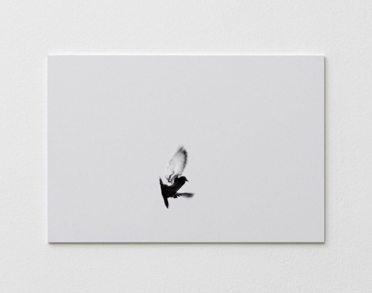 <i>signal escapes</I>, 2018
</br>
(detail)
>