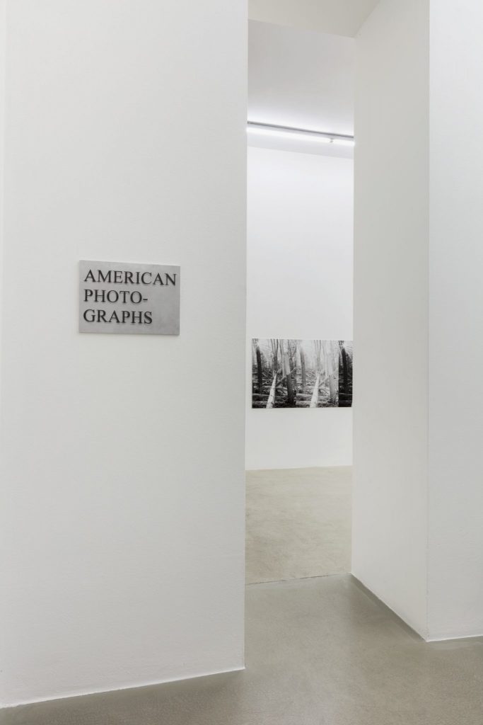 <i>a graphic tone</i>, 2019
</br>
installation view, kaufmann repetto, milan>