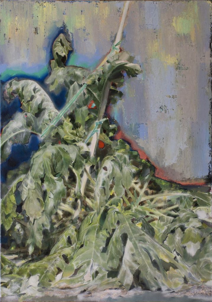 <i>untitled</i>, 2014
</br>
oil on canvas, 100 x 70 cm / 39.4 x 27.5 in >