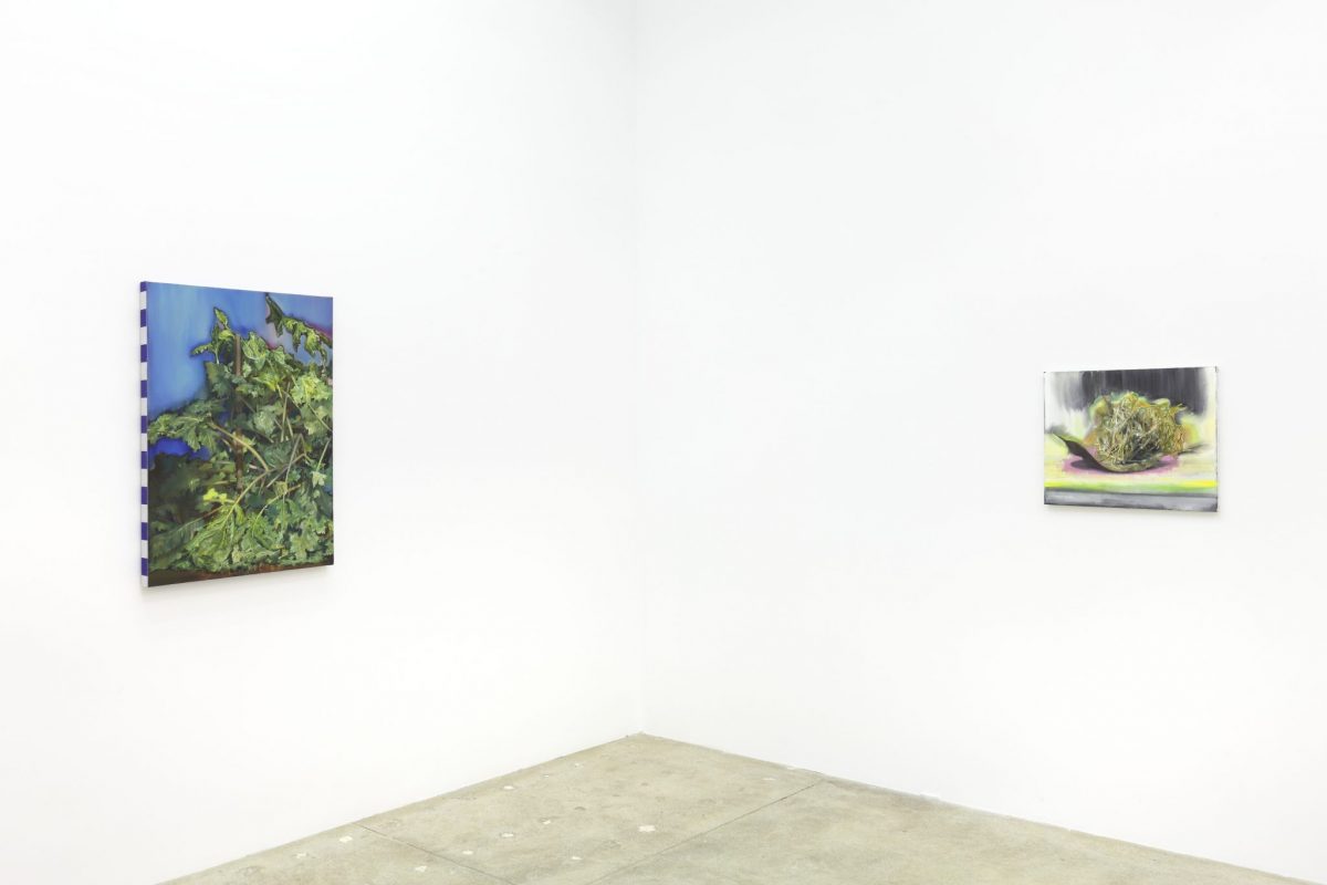 <i>pierpaolo campanini</i>, 2013
</br>
installation view, kaufmann repetto, new york>