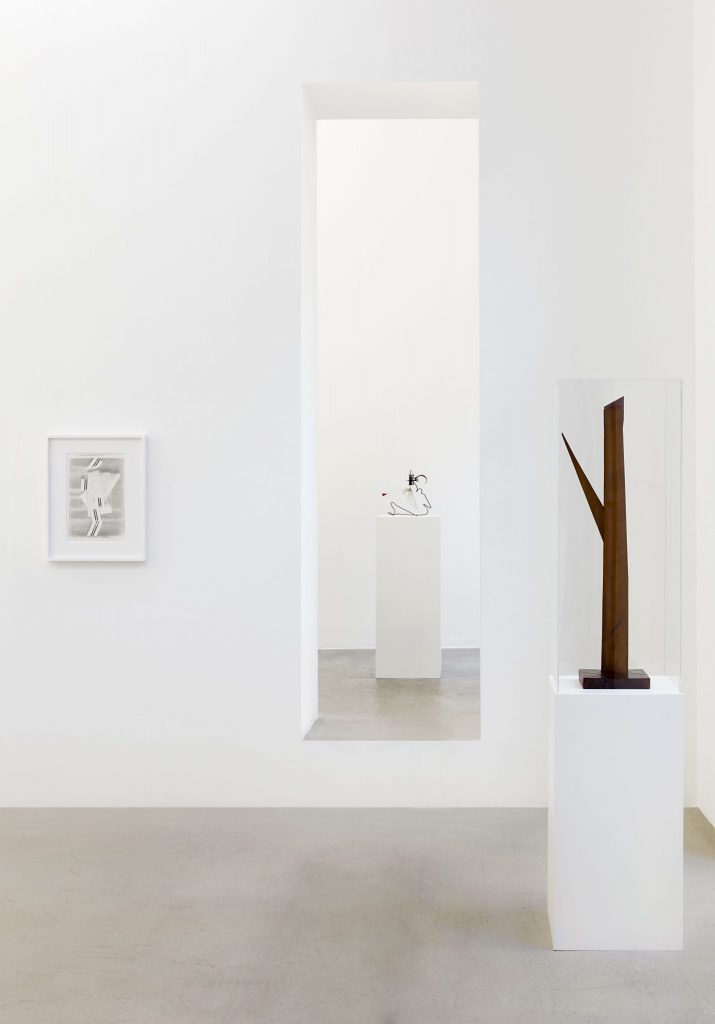 <i>ognuno vede ciò che sa</i>, 2018
</br>
installation view, kaufmann repetto, milan>