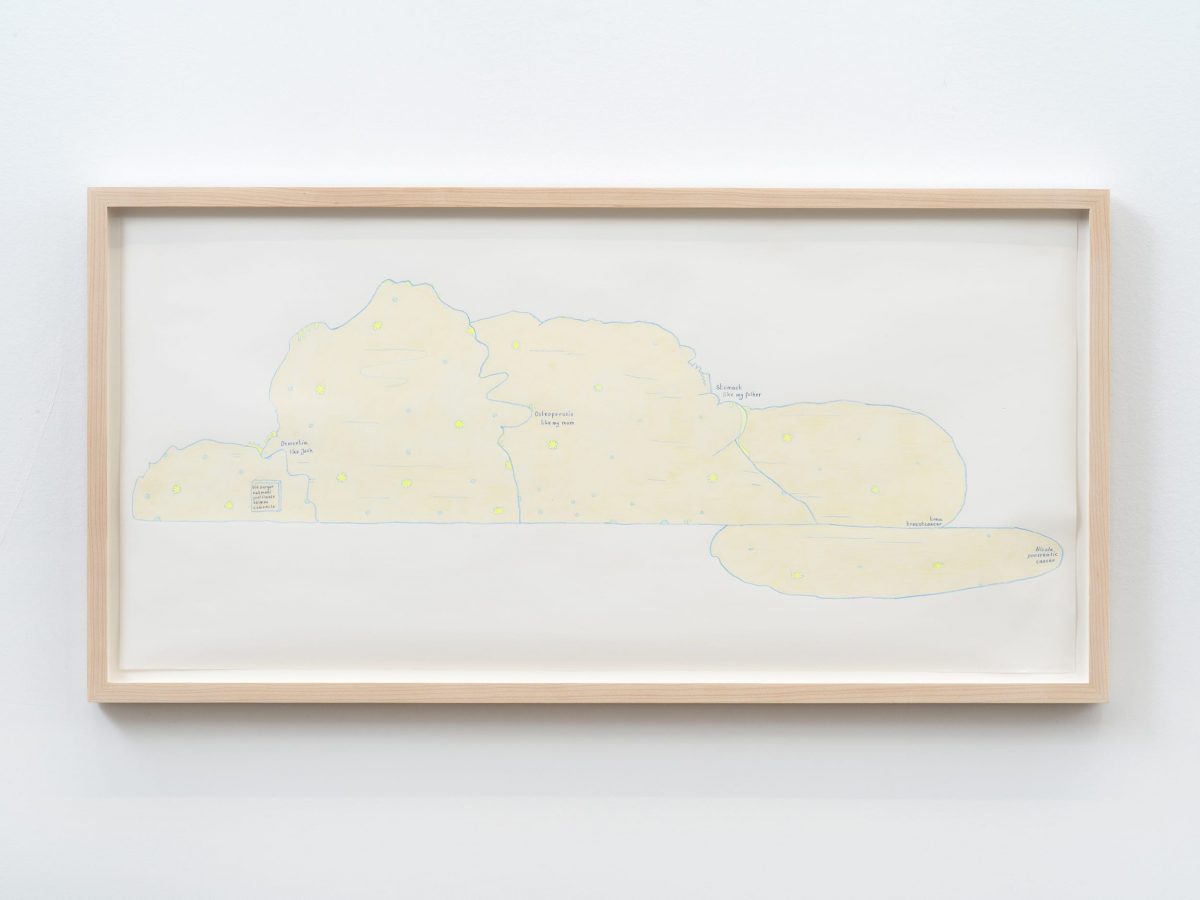 osteoporosis (variation 4, design for wall painting and vinyl floorpiece), 2019
color pencil on paper, 31,6 x 63 x 1,9 cm / 12.5 x 24.8 x 0.8 in (framed)