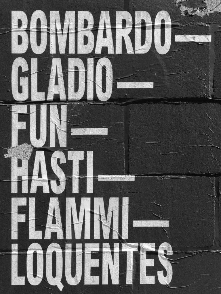 <i>bombardo</i>, 2017
</br>
archival pigment print mounted on aluminium
</br>
122 x 91,5 cm / 48 x 36 in
>