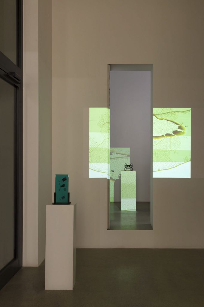 <i>ognuno vede ciò che sa</i>, 2018
</br>
installation view, kaufmann repetto, milan>