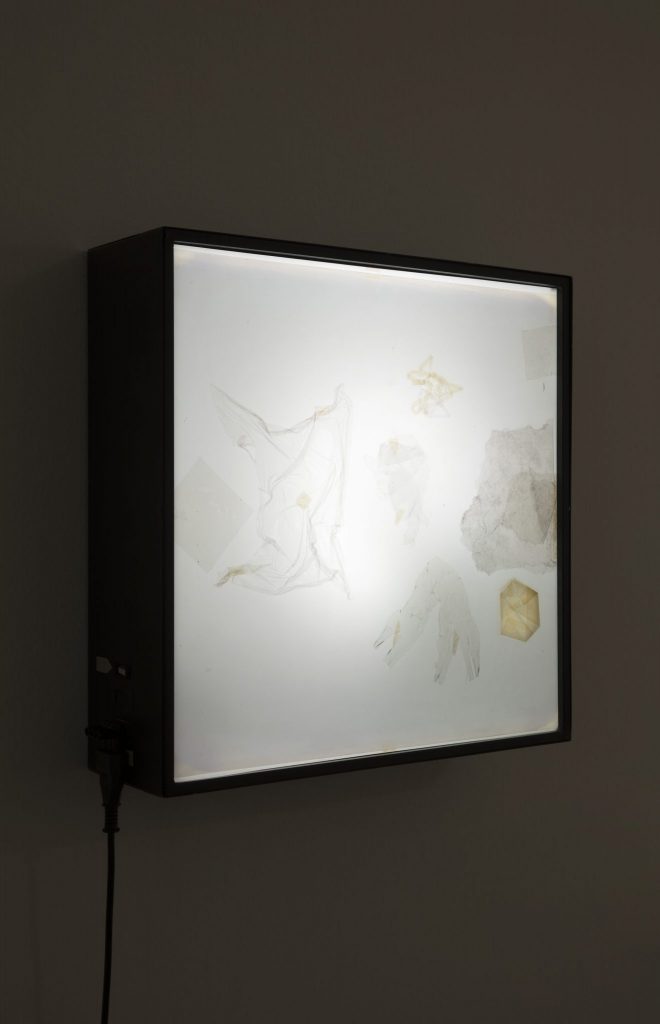 <i>polariscop</i>, 1960
</br>
(alternate view)>
