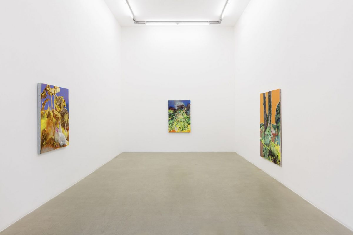 <i>pierpaolo campanini</i>, 2016
</br>
installation view, kaufmann repetto, milan>