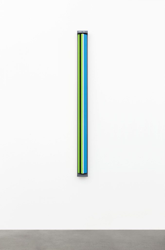 <i>rotore (rotor)</i>, 1989
</br>
paint on metal, 140 x 10 x 10 cm / 55.1 x 3.9 x 3.9 in
>