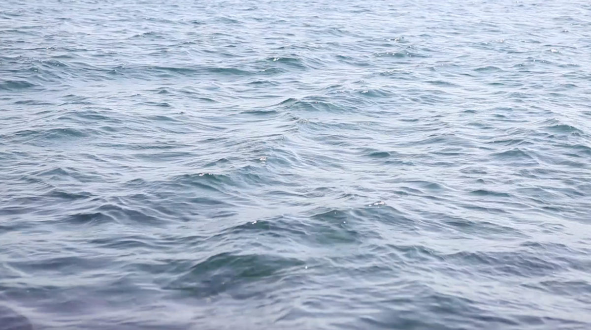 latifa echakhch</br><i>waiting for the dolphins</i>, 2015</br>video</br>9'57''