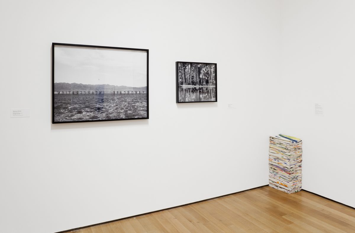 <i>ecstatic alphabets</I>, 2012
</br>
installation view, moma, new york
>