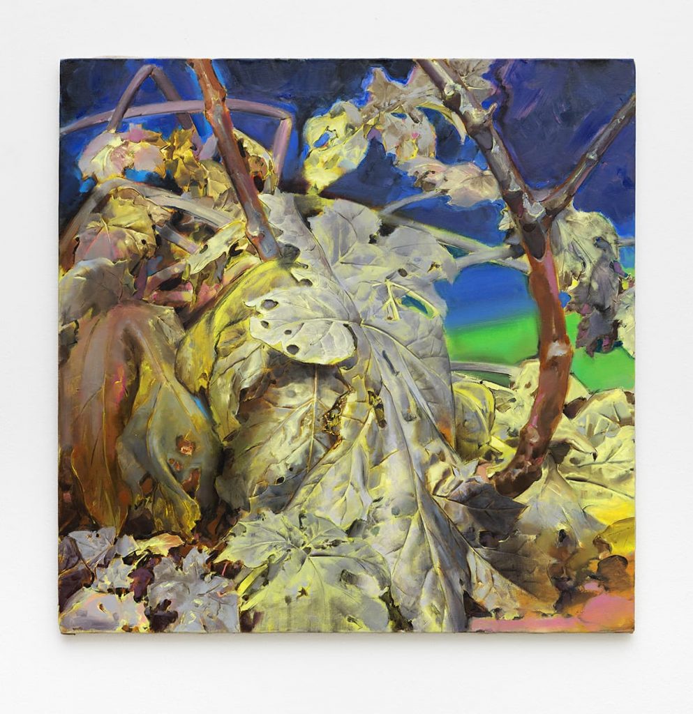 <i>untitled</i>, 2016
</br>
oil on canvas, 80 x 80 cm / 31.5 x 31.5 in >