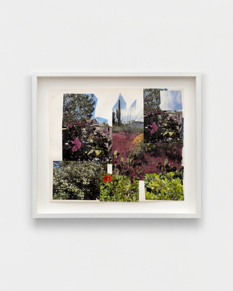 <i>May in Greece (4)</i>, 2025
</br>
collage on cardboard</br>37 x 44 cm / 14.5 x 17.2 in