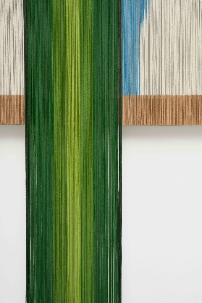 <i> Echinacea </i>, 2023 </br> (detail)>
