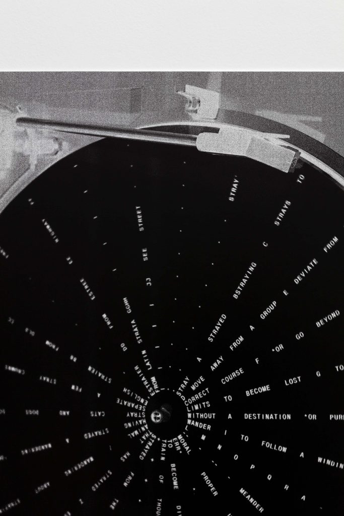 <i>strayer</I>, 2018
</br>
(detail)>