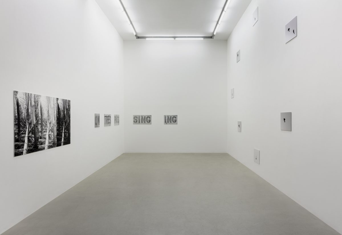 <i>a graphic tone</i>, 2019
</br>
installation view, kaufmann repetto, milan>