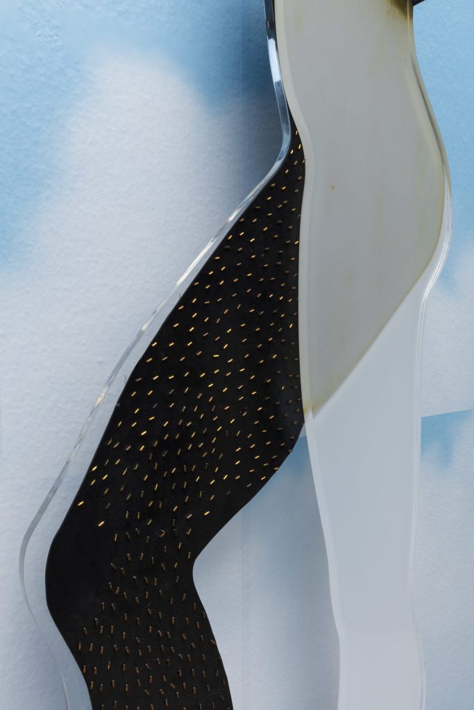 <i>H is for Hairy Leg</i>, 2018</br>(detail)