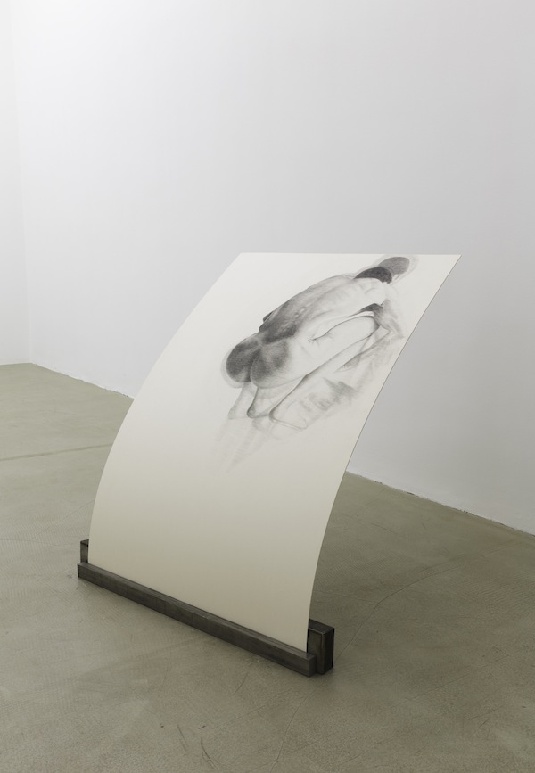 <i>piegarsi per il proprio peso</i>, 2013</br>photographic print