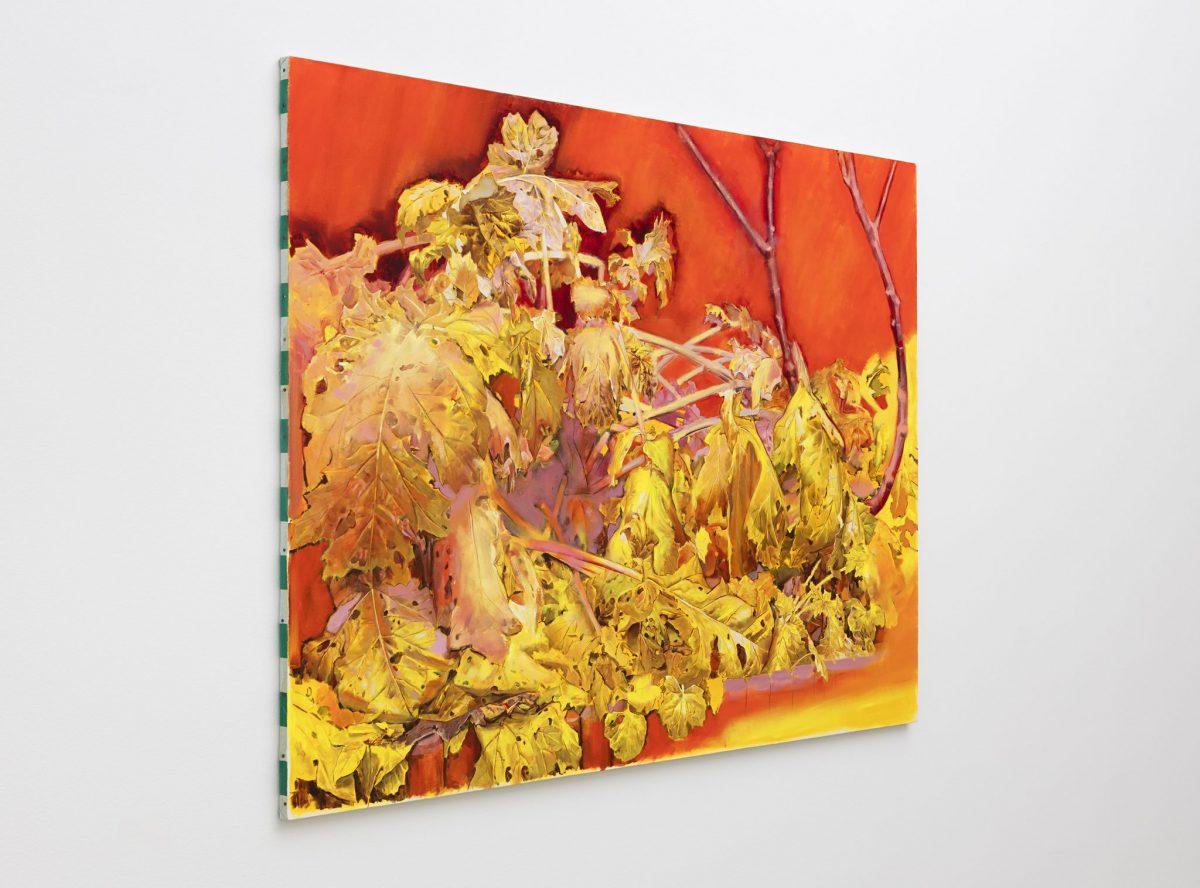 <i>untitled</i>, 2016</br>
(alternate view)
