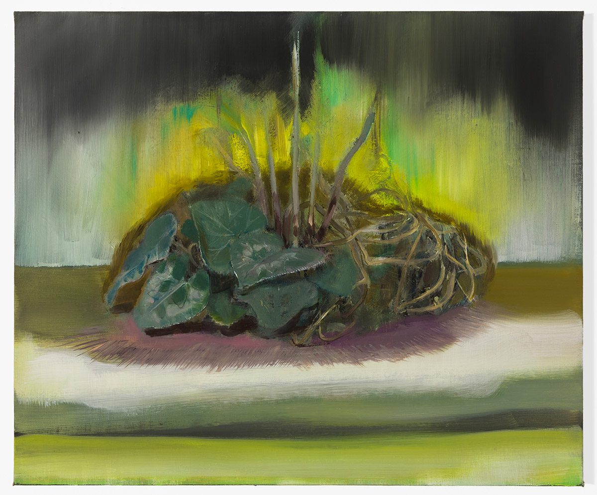 <i>untitled</i>, 2013</br>
oil on canvas</br>50 x 60 cm