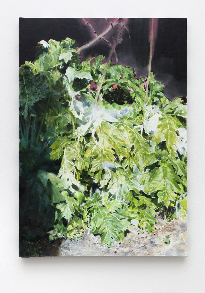 <I>untitled</I>, 2016</br>
oil on canvas</br> 100 × 70 cm / 39.4 x 27.6 in