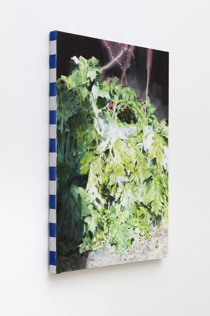 <I>untitled</I>, 2016</br>
(detail)