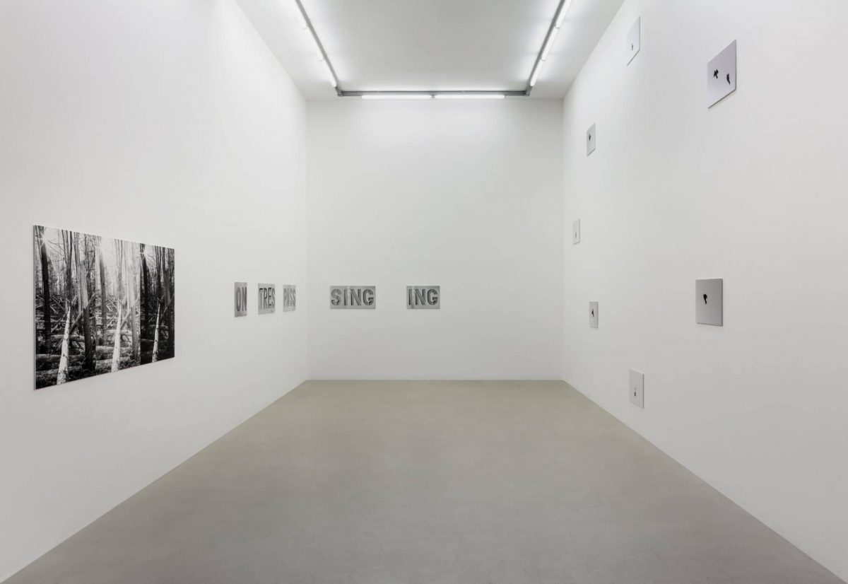<i>a graphic tone</i>, 2019</br>installation view, kaufmann repetto, milano