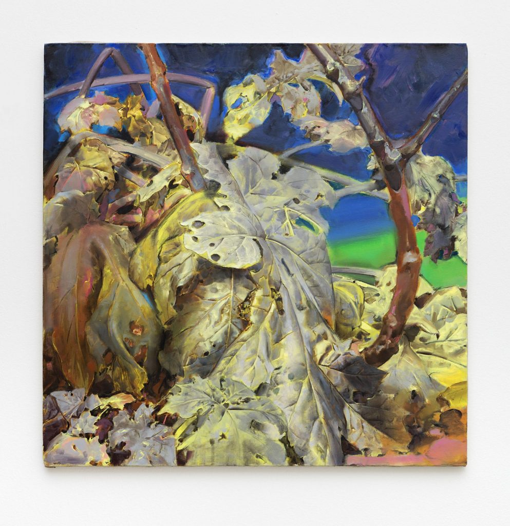 <I>untitled</I>, 2016</br>
oil on canvas</br> 80 × 80 cm / 31.5 x 31.5 in