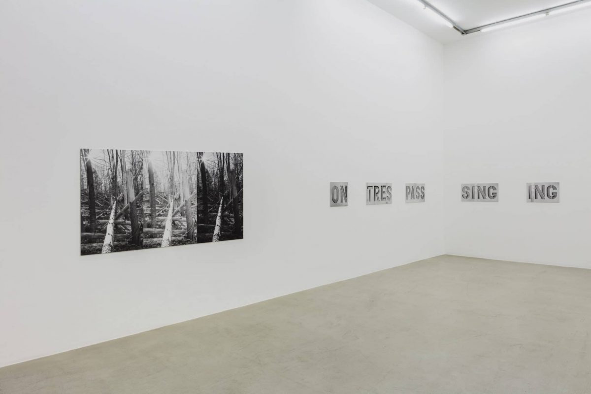 <i>a graphic tone</i>, 2019</br>installation view, kaufmann repetto, milano