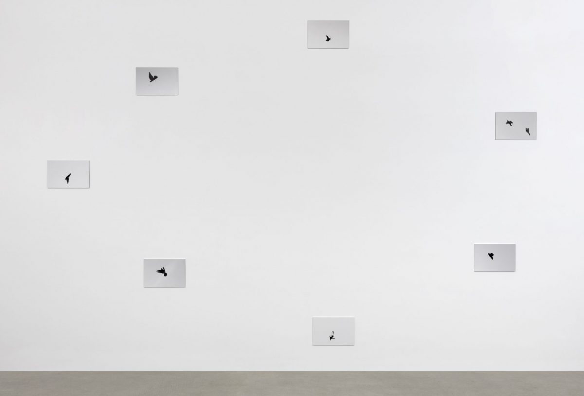 <i>signal escapes</i>, 2018</br>
archival pigment print mounted on aluminum, 7 prints complete set:</br> 350 x 600 x 0,8 cm / 137.8 x 236.2 x 0.3 in each: 34,3 x 50,8 x 0,8 cm / 13.5 x 20 x 0.3 in