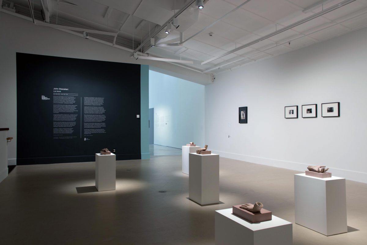 <I>lost world</I>, 2017
</br>
installation view, city gallery wellington, wellington>