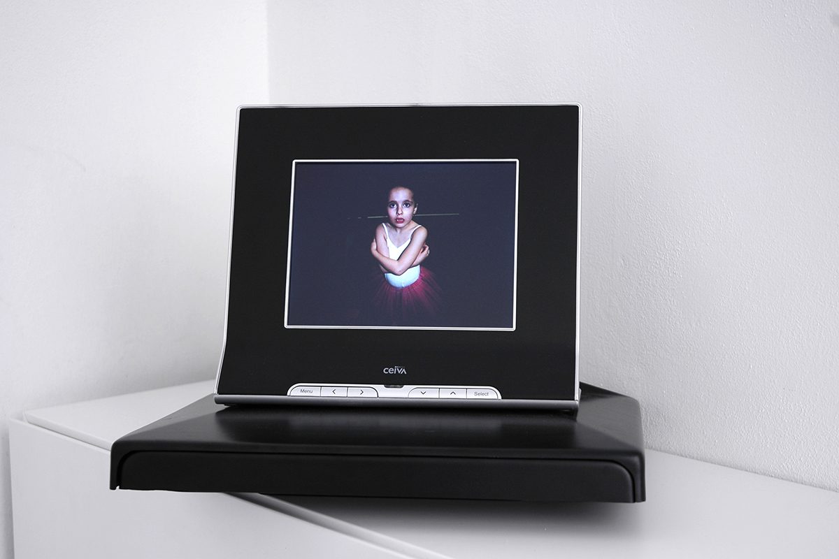 maggie cardelús, zoo, age 10’, 2007
video, duration: 10 years