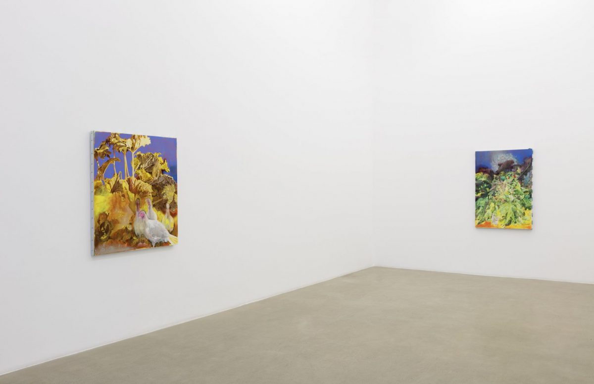 pierpaolo campanini, installation view, kaufmann repetto, milan, 2016