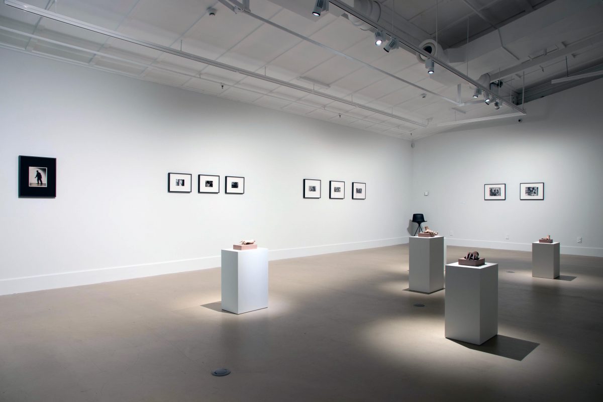 <I>lost world</I>, 2017
</br>
installation view, city gallery wellington, wellington>
