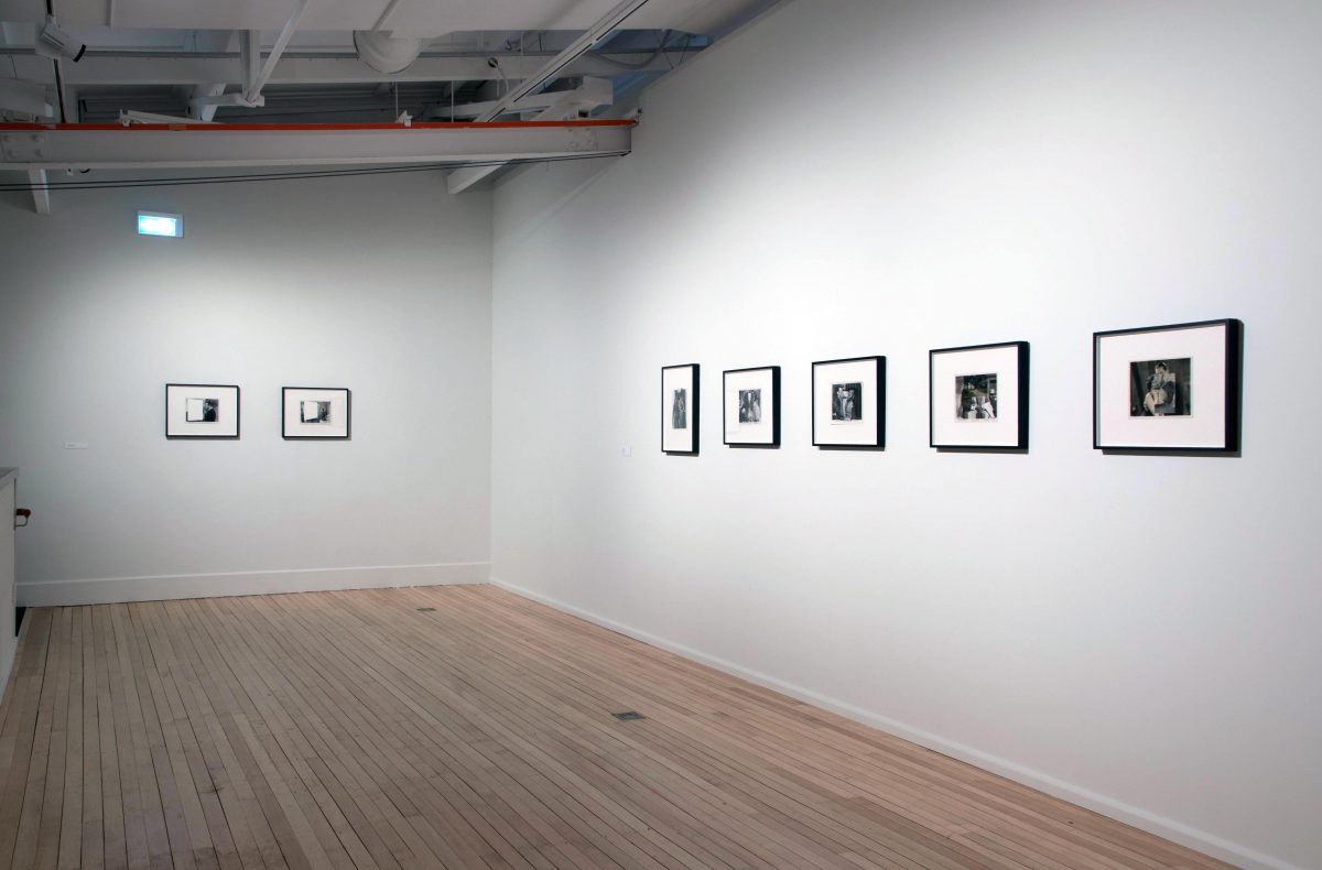 <I>lost world</I>, 2017
</br>
installation view, city gallery wellington, wellington>