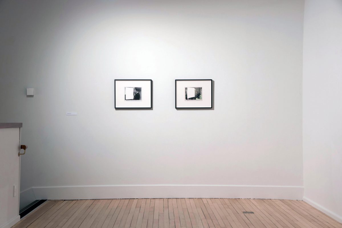 <I>lost world</I>, 2017
</br>
installation view, city gallery wellington, wellington>