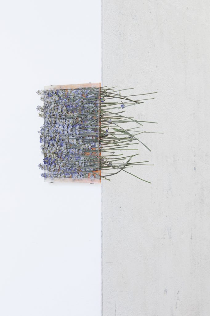 <i>by way of pressed lavender</i>, 2012</br>
pressed flowers, spray paint, glass</br>18 x 12 cm