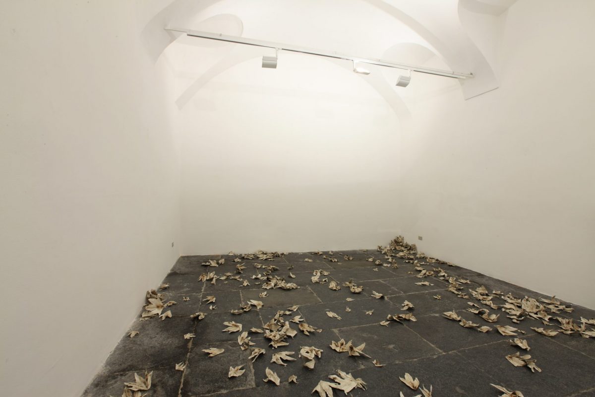 pae white, my falls, installation view, francesca kaufmann, milan, 2008