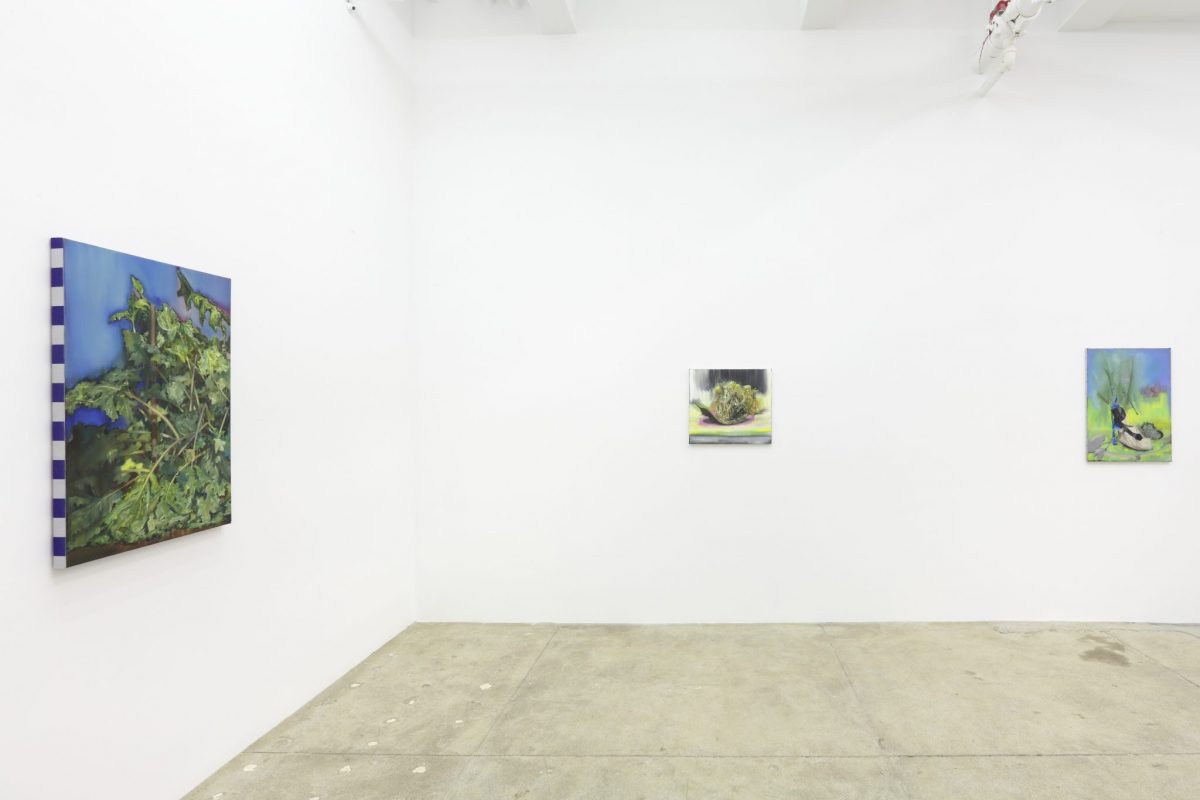 pierpaolo campanini, 2013</br>installation view, kaufmann repetto, new york