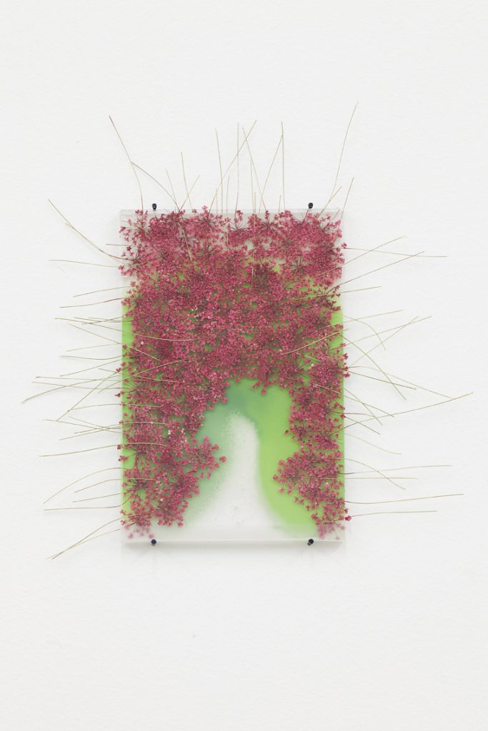 <i>by way of pressed pink queen anneis lace</i>, 2012</br>
pressed flowers, spray paint, glass</br>15 x 10 cm