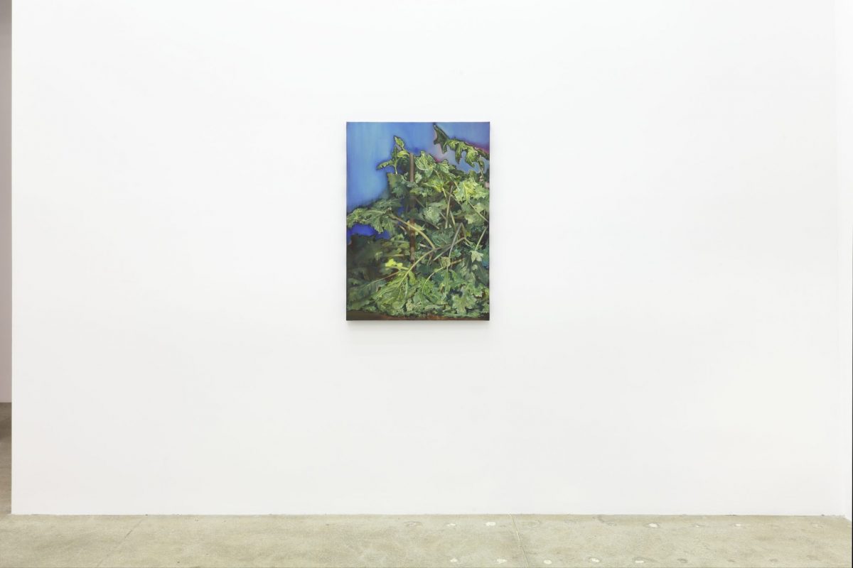 pierpaolo campanini, 2013</br>installation view, kaufmann repetto, new york