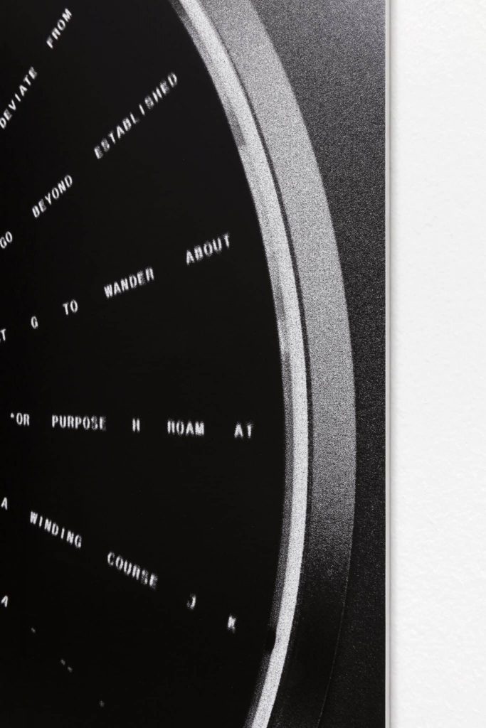 <i>strayer</i>, 2018</br>
(detail)