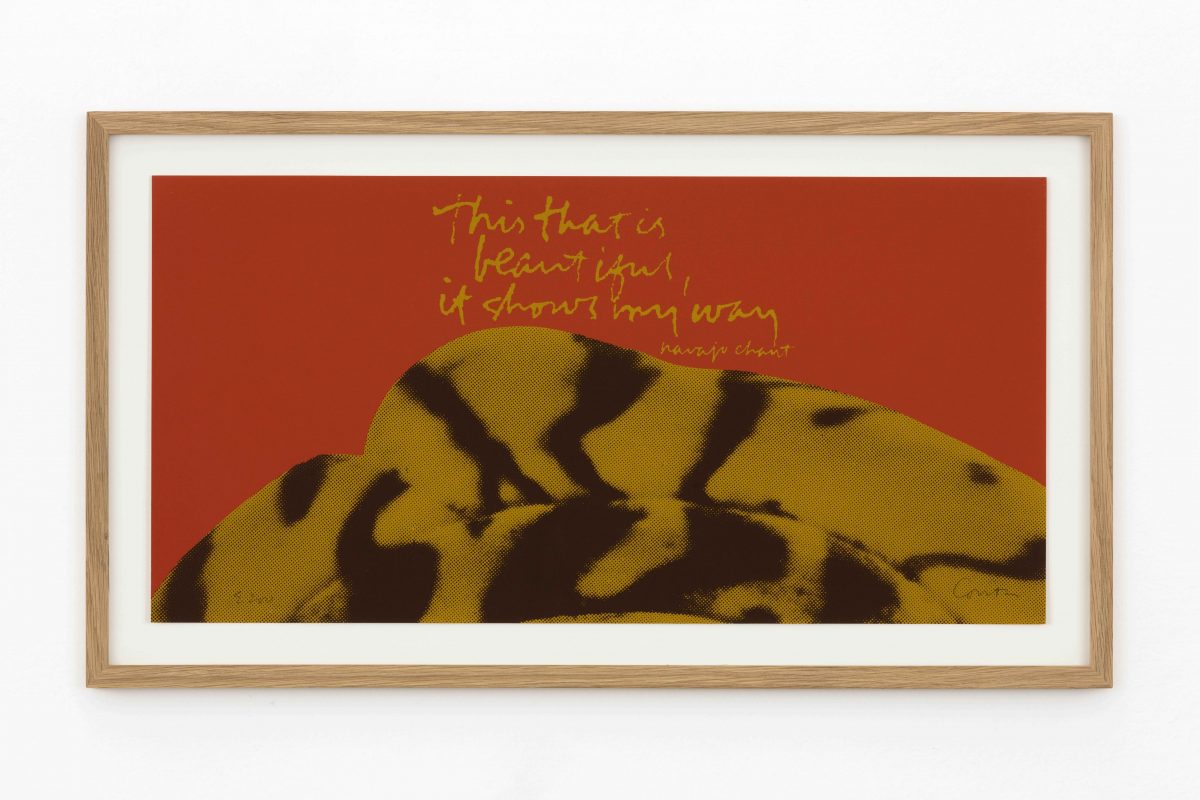 <i>it shows my way - shell writing #6</I>, 1976
</br>
screenprint, 28 x 56 cm / 11 x 22.1 in>