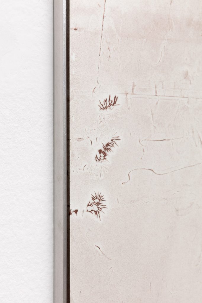 <I>Polyethylene Feels</I>, 2019
</br>
(detail)