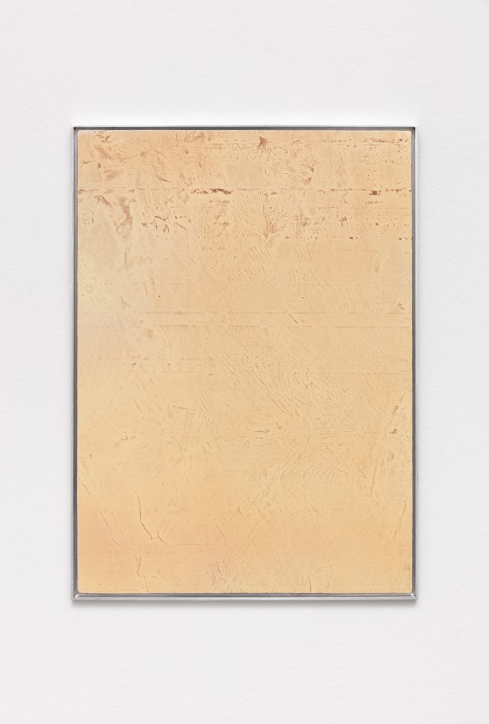 <I>Polyethylene Feels</I>, 2019
</br>
polyethylene, copper particles, wood
</br>
69 x 57,3 x 2,8 cm / 27.2 x 22.6 x 1.1 in