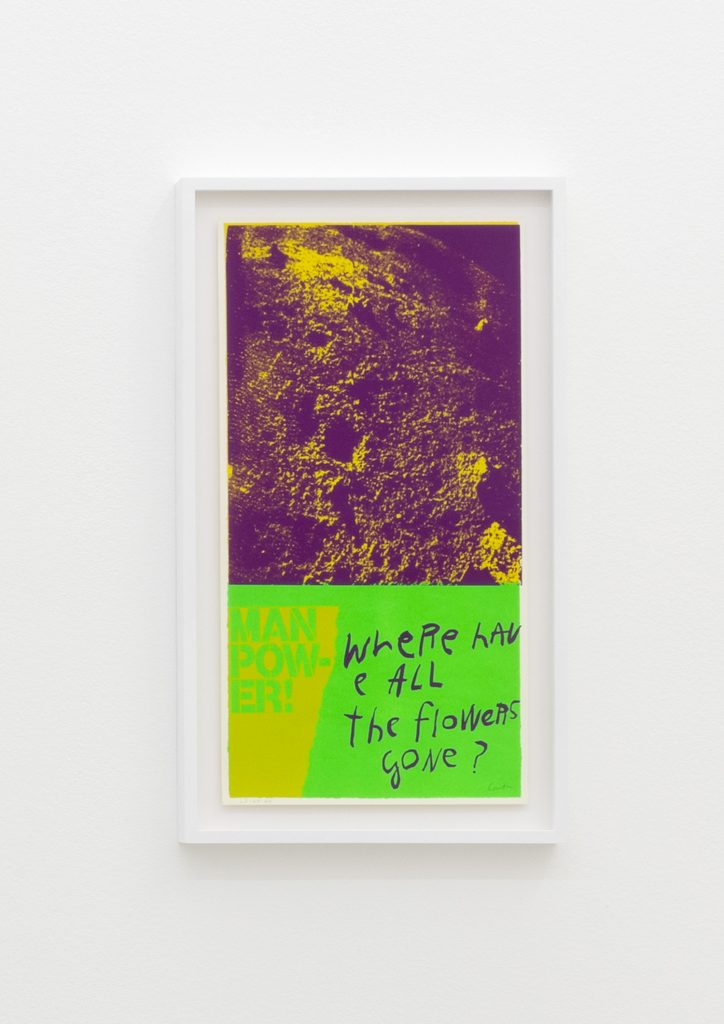 <I>moonflowers</I>, 1969
</br>
screenprint</br>
66,5 x 38 x 4 cm / 26.1 x 15 x 1.5 in (framed)