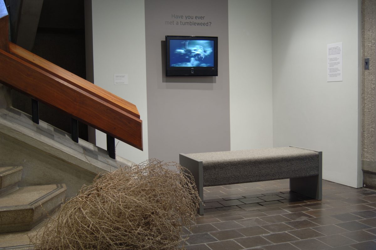 <I>currents</i>, 2012
</br> installation view, Columbus museum of art, Ohio