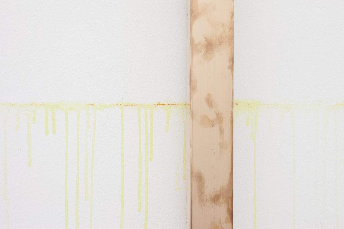 <I>Le rappel des oiseaux</i>, 2011
</br> installation view, GAMec, Bergamo