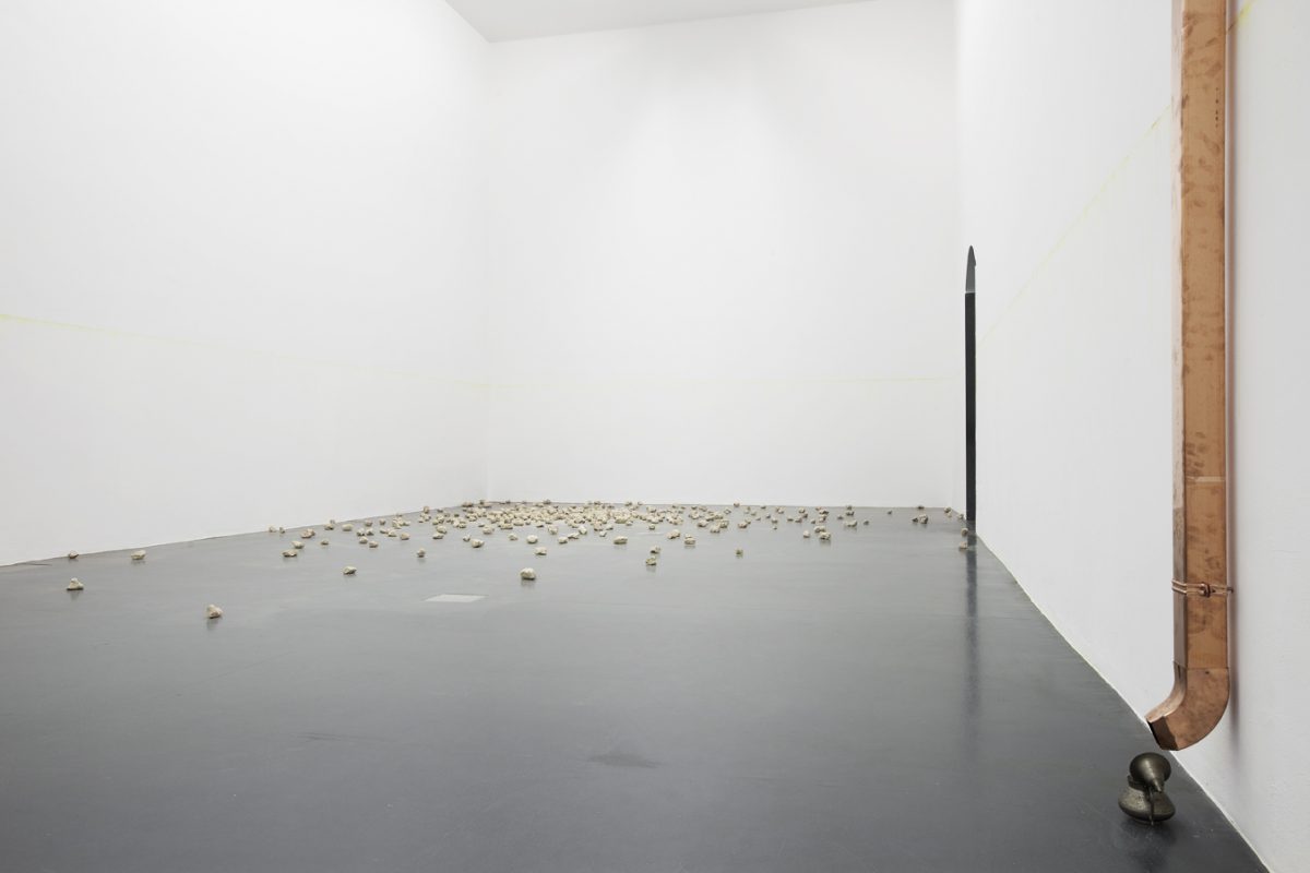 <I>Le rappel des oiseaux</i>, 2011
</br> installation view, GAMec, Bergamo