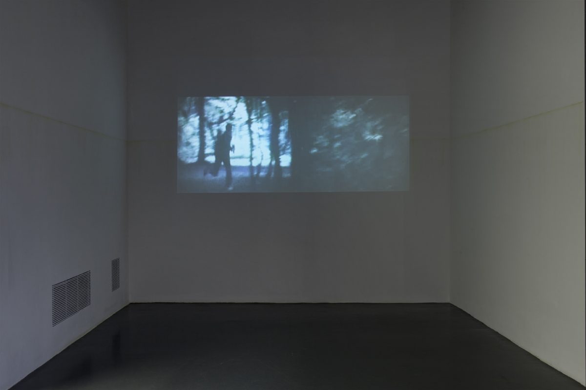 <I>Le rappel des oiseaux</i>, 2011
</br> installation view, GAMec, Bergamo
