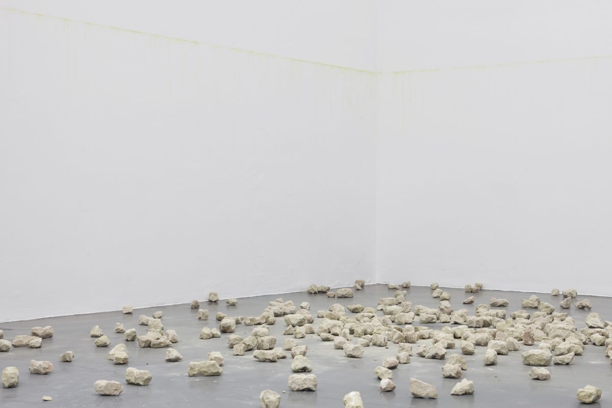 <I>Le rappel des oiseaux</i>, 2011
</br> installation view, GAMec, Bergamo